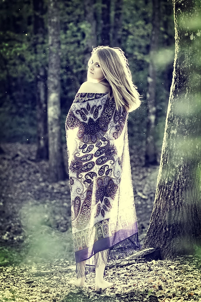 IMG 9663 2 17343112891